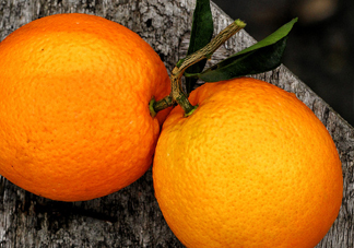 褚橙什么時候上市？褚橙是什么品種