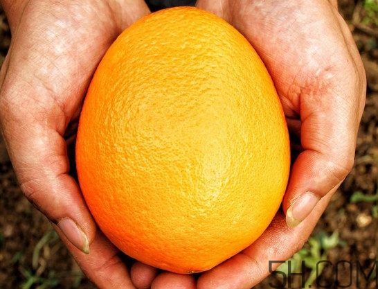 褚橙什么牌子最正宗？褚橙的種植技術(shù)