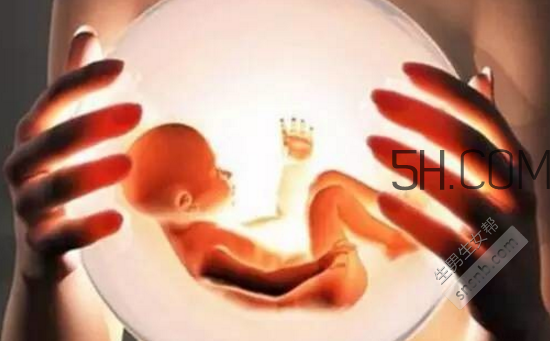 凍胚和鮮胚哪個(gè)成功率比較高？?jī)雠吆王r胚移植的優(yōu)缺點(diǎn)分別是什么？