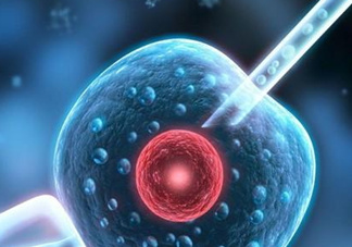 染色體異?？梢宰鲈嚬軏雰簡幔咳旧w異常能要孩子嗎？