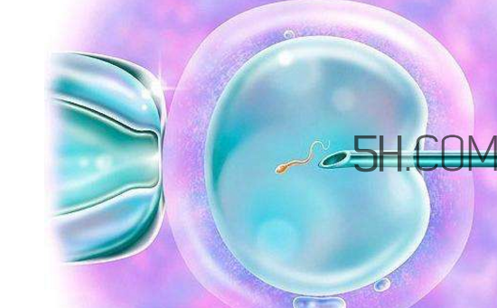 凍胚和鮮胚哪個(gè)成功率比較高？?jī)雠吆王r胚移植的優(yōu)缺點(diǎn)分別是什么？