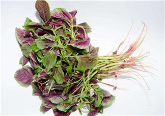 莧菜是酸性還是堿性？吃莧菜有什么好處？