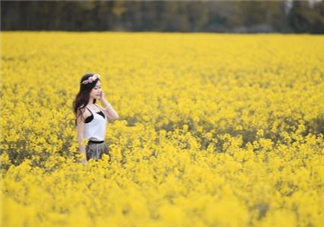 sass bide是什么牌子？sass bide是什么檔次？