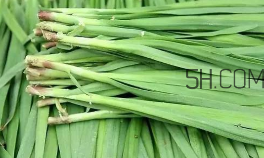 生蠔和韭菜一起吃有什么好處？吃韭菜的好處