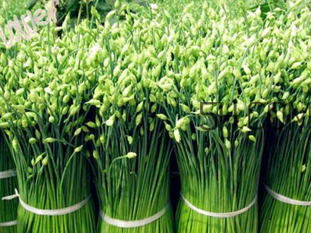 來月經(jīng)可以吃韭菜嗎？韭菜花的腌制方法