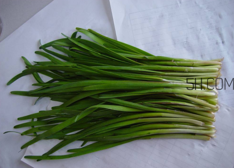 韭菜怎么保存？韭菜傷胃嗎？