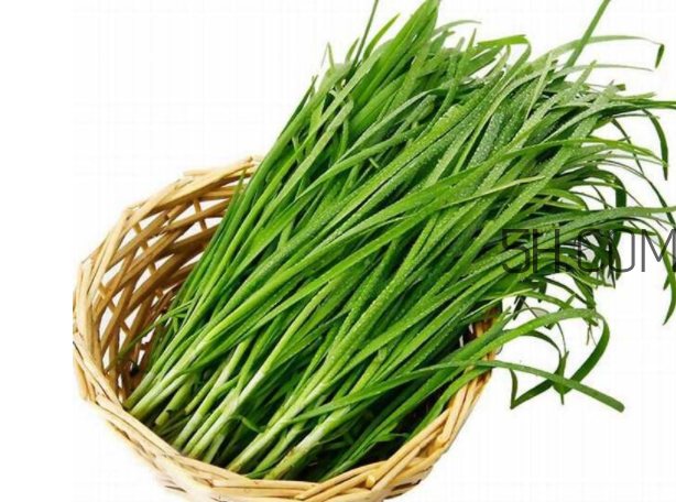 如何挑選新鮮的韭菜？野韭菜與韭菜的區(qū)別