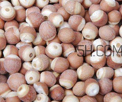 芡實(shí)是中藥嗎？芡實(shí)哪里可以買(mǎi)到