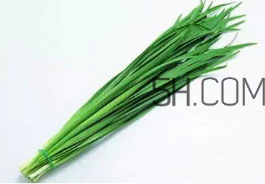 立秋后可以種韭菜嗎？怎樣種韭菜？