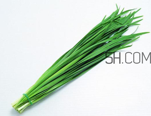 秋天吃韭菜好嗎？韭菜和莧菜能一起吃嗎？