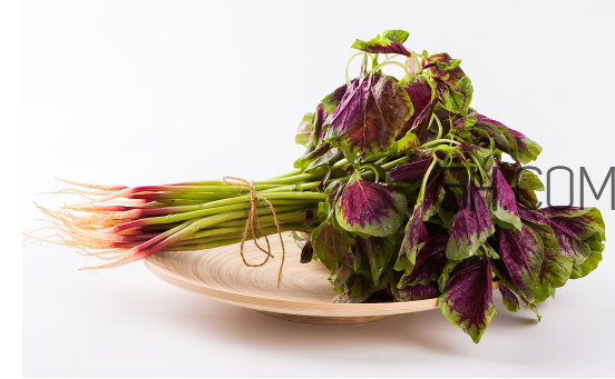 秋天吃韭菜好嗎？韭菜和莧菜能一起吃嗎？