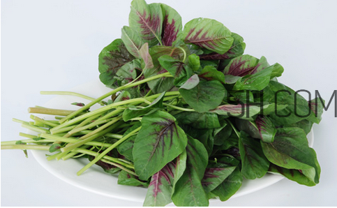 莧菜為什么是紅的？莧菜是涼性的嗎？