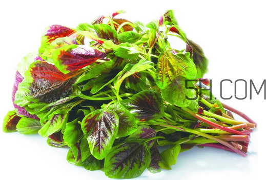 莧菜是酸性還是堿性？吃莧菜有什么好處？