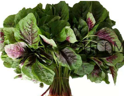 莧菜是酸性還是堿性？吃莧菜有什么好處？