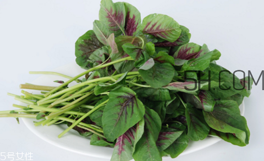 上火能吃咸莧菜嗎？寶寶能吃莧菜嗎？