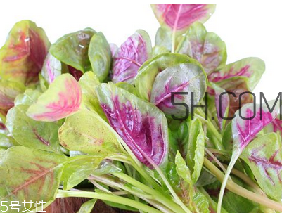 上火能吃咸莧菜嗎？寶寶能吃莧菜嗎？