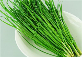 立秋后可以種韭菜嗎？怎樣種韭菜？