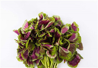 上火能吃咸莧菜嗎？寶寶能吃莧菜嗎？