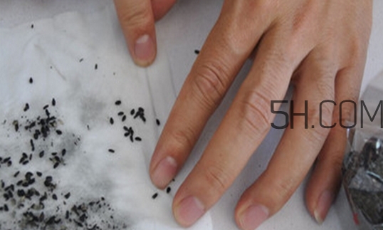 黑芝麻清洗掉色正常嗎？黑芝麻有黑色素嗎？