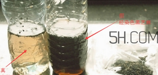 黑芝麻清洗掉色正常嗎？黑芝麻有黑色素嗎？