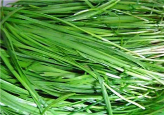秋天吃韭菜好嗎？韭菜和莧菜能一起吃嗎？