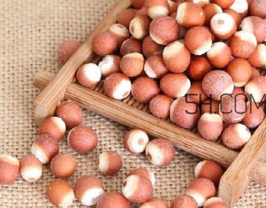 芡實營養(yǎng)價值有哪些？芡實哪里的最好