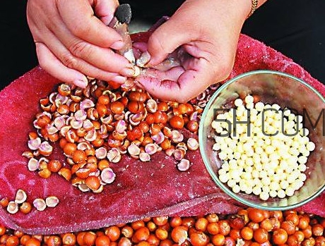 芡實有什么作用？芡實是哪里的特產(chǎn)