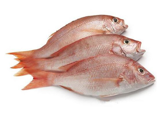鯛魚多少錢一斤？鯛魚魚骨有什么營養(yǎng)價值