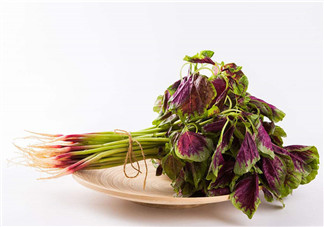 莧菜為什么是紅的？莧菜是涼性的嗎？