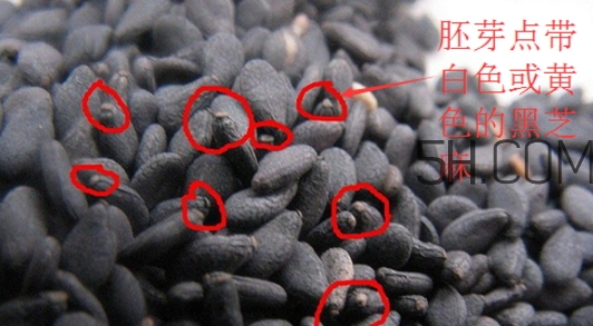 黑芝麻清洗掉色正常嗎？黑芝麻有黑色素嗎？