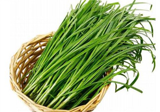 韭菜種植條件有哪些？韭黃和韭菜的區(qū)別