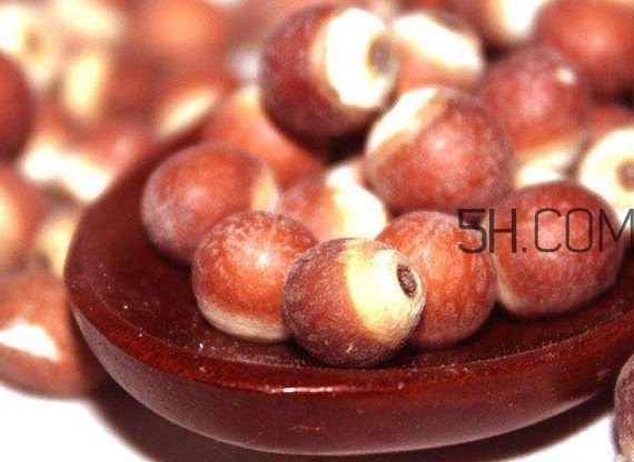 芡實營養(yǎng)價值有哪些？芡實哪里的最好