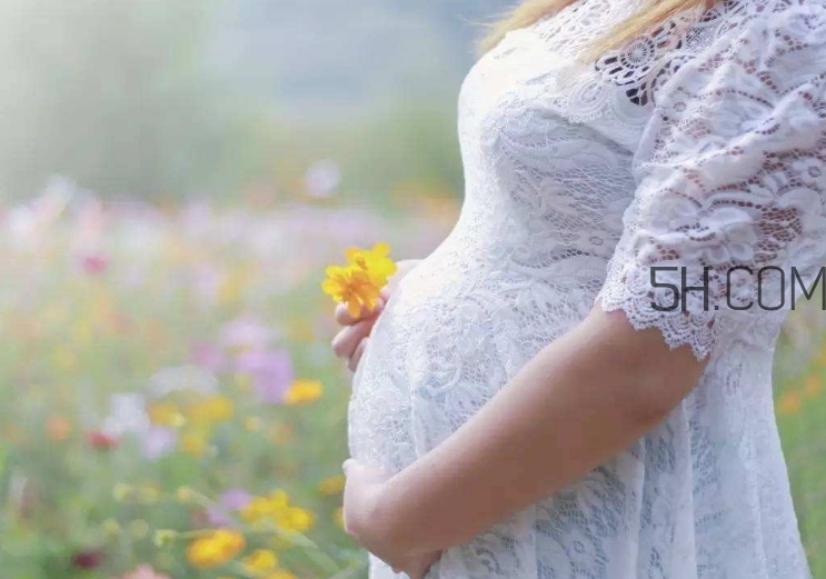 孕酮是什么？孕酮是黃體酮嗎？