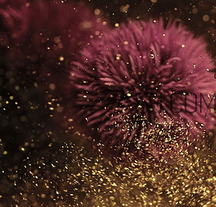 海藍(lán)之謎鎏金精華怎么用？海藍(lán)之謎鎏金精華使用心得