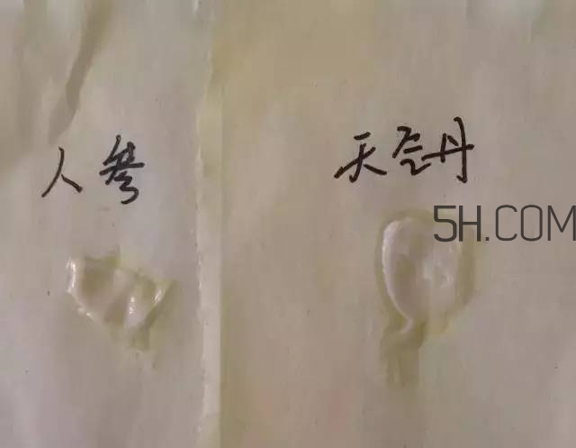 雪花秀人參面霜和whoo后天氣丹面霜哪個好? 雪花秀人參面霜和whoo后天氣丹面霜哪個好?