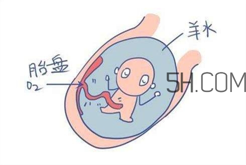 怎么防止羊水早破？羊水早破的危害