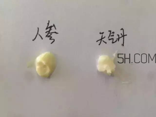 雪花秀人參面霜和whoo后天氣丹面霜哪個好? 雪花秀人參面霜和whoo后天氣丹面霜哪個好?