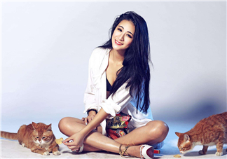 laurence dacade是什么牌子_什么檔次？