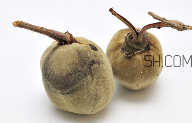 猴面包樹(shù)果實(shí)好吃嗎？猴面包樹(shù)果實(shí)怎么吃