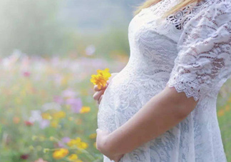 孕酮是什么？孕酮是黃體酮嗎？