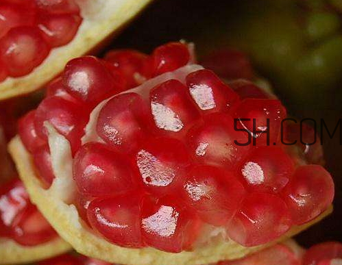 軟籽石榴怎么吃 軟籽石榴可以榨汁嗎 軟籽石榴怎么吃 軟籽石榴可以榨汁嗎