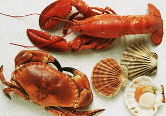 螃蟹的屎在哪里？螃蟹的屎和蟹黃怎么分辨？