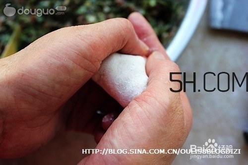 怎么包餃子快又好看？十種家常包餃子的方法~