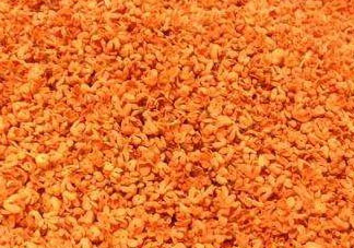 糖桂花可以泡茶喝嗎 糖桂花可以用來(lái)泡水嗎