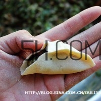 餃子和面用熱水還是冷水？餃子和面要醒多長時間？