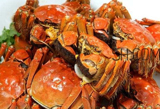 孕婦吃螃蟹多久流產？孕婦吃多少螃蟹會流產？