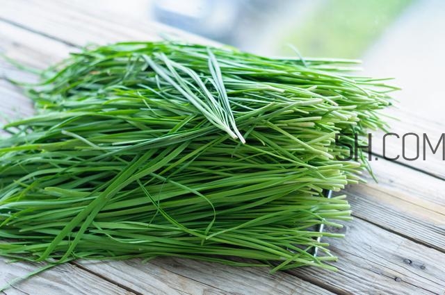 怎么包餃子快又好看？十種家常包餃子的方法~