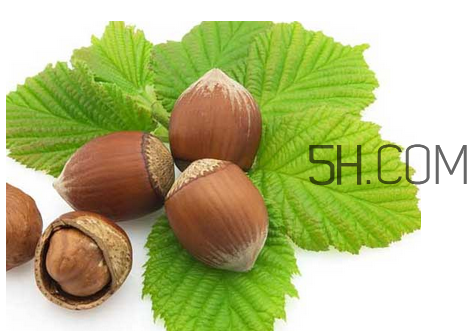 榛子可以用烤箱烤嗎？用烤箱烤榛子怎么烤？