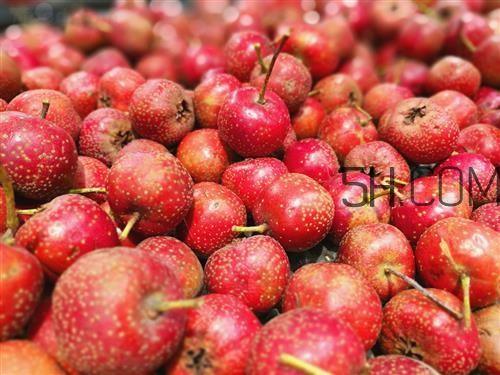 臨產(chǎn)前可以吃山楂嗎？臨產(chǎn)前吃什么有助于順產(chǎn)？