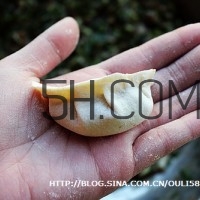 餃子和面用熱水還是冷水？餃子和面要醒多長時間？